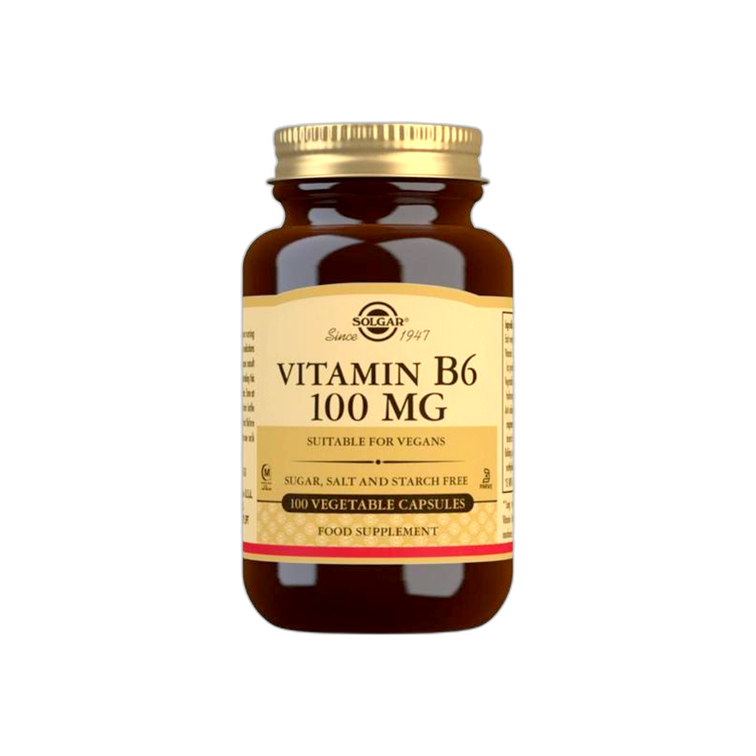 Vitamin B6 100 mg