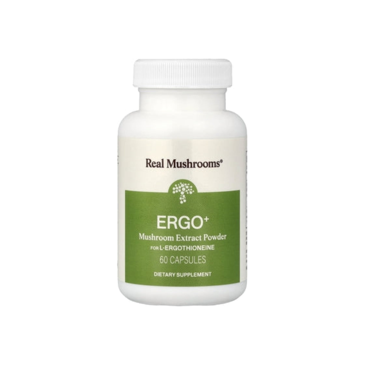 ERGO