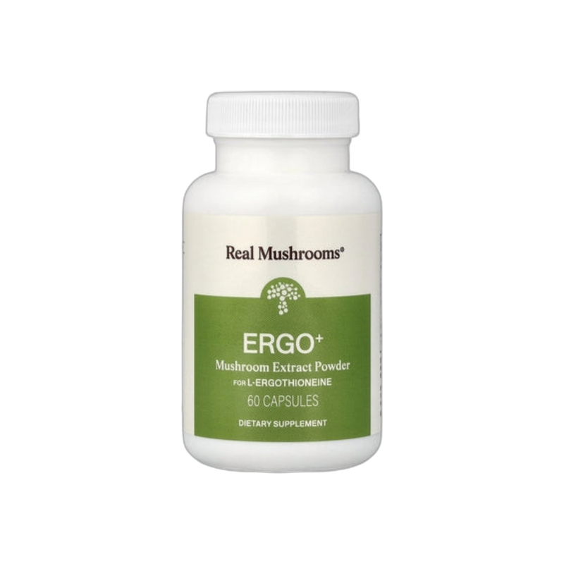 ERGO