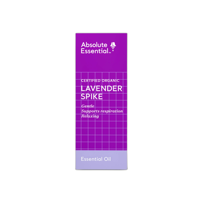 Lavender Spike