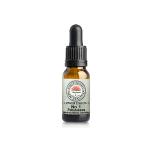 No. 01 - Pohutukawa (Initiative)  10ml