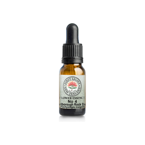 No. 04 - Marlborough Rock Daisy (Self-Worth) 10ml