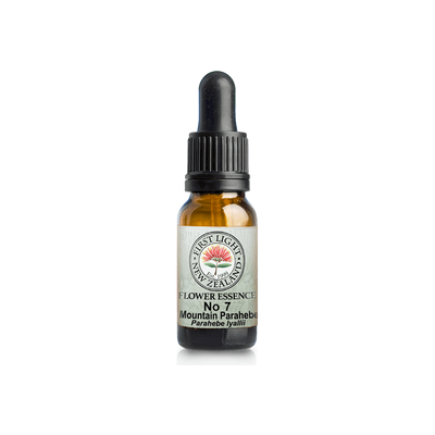 No. 07 - Mountain Parahebe (Communication) 10ml