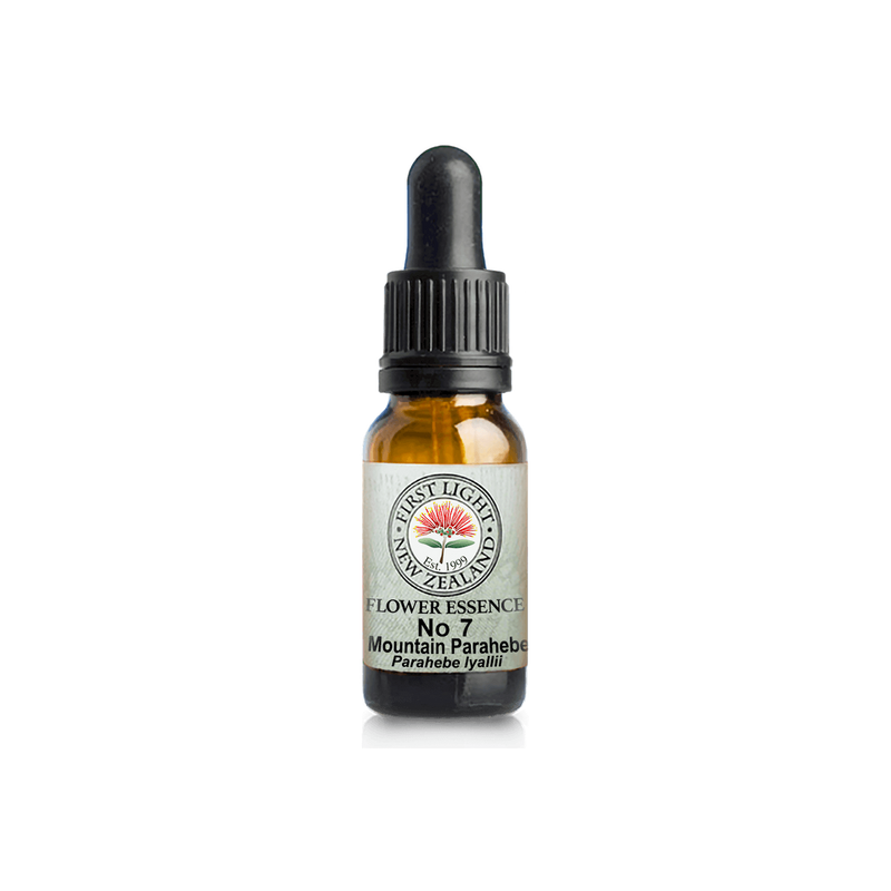 No. 07 - Mountain Parahebe (Communication) 10ml