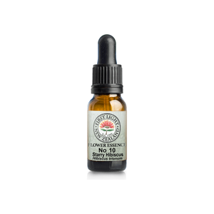 No. 10 - Starry Hibiscus (Tenderness) 10ml