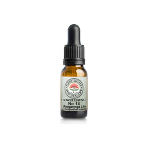 No. 14 - Rengarenga Lily (Creativity) 10ml
