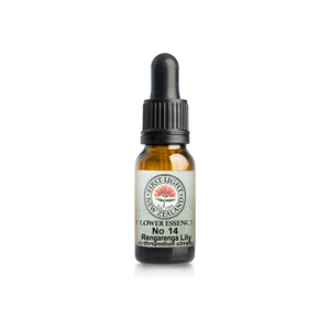 No. 14 - Rengarenga Lily (Creativity) 10ml