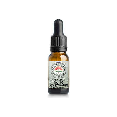 No. 16 - Small White Rata (Perfection) 10ml