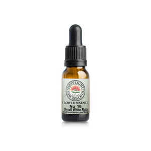 No. 16 - Small White Rata (Perfection) 10ml