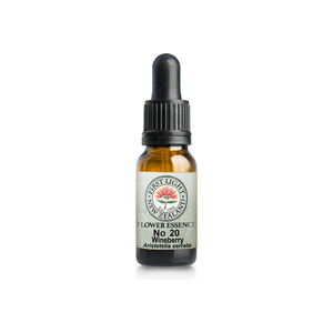 No. 20 - Wineberry (Co-operation) 10ml