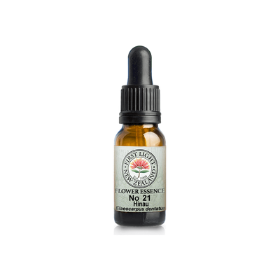 No. 21 - Hinau (Sacred Space) 10ml