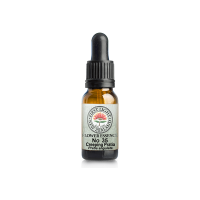 No. 35 - Creeping Pratia (Empathy) 10ml