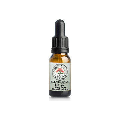 No. 37 - King Fern (Security) 10ml