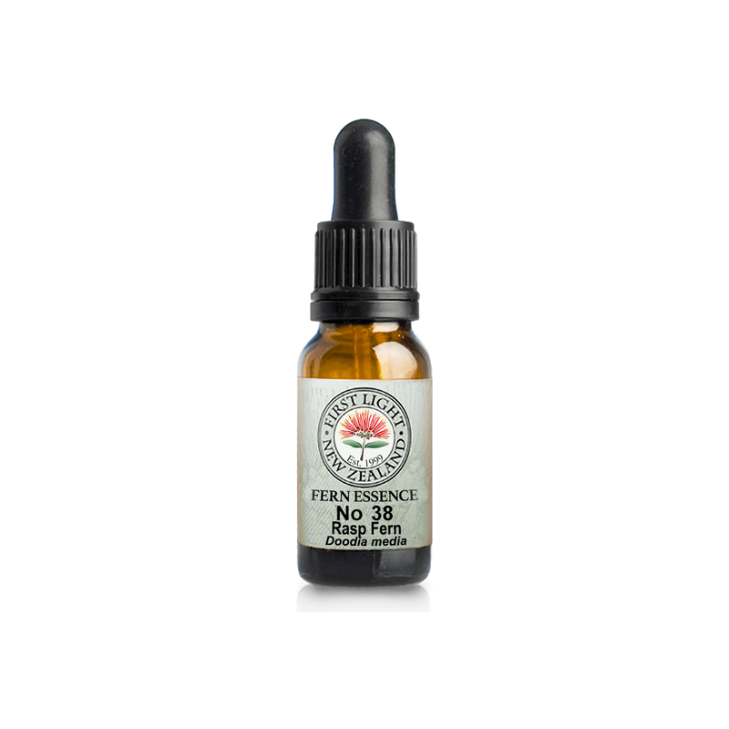 No. 38 - Rasp Fern (Boundaries) 10ml