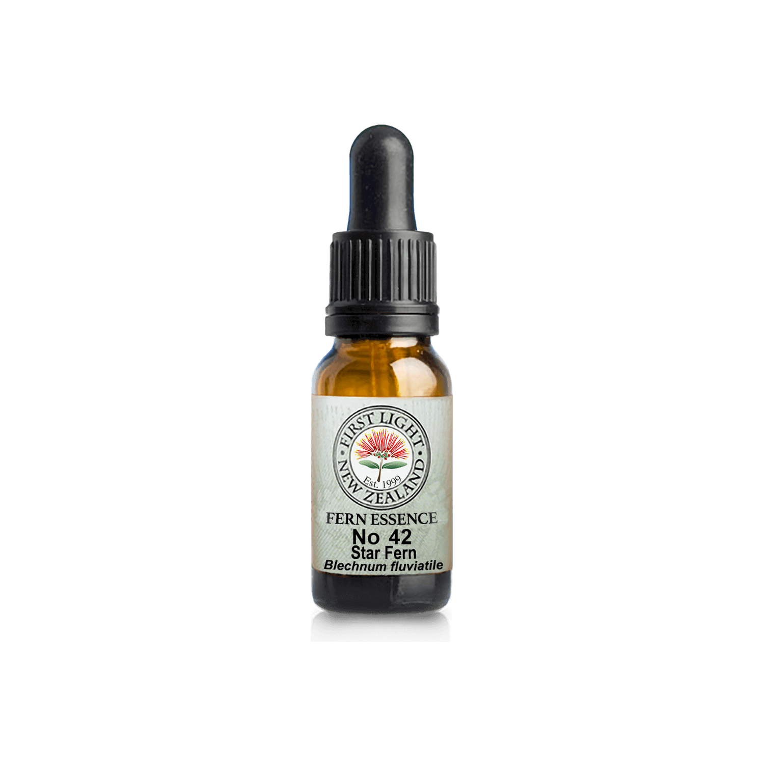 No. 42 - Star Fern (Authenticity) 10ml