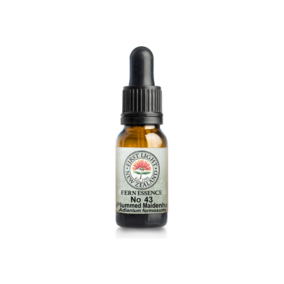 No. 43 - Plumed Maidenhair Fern (Direction) 10ml