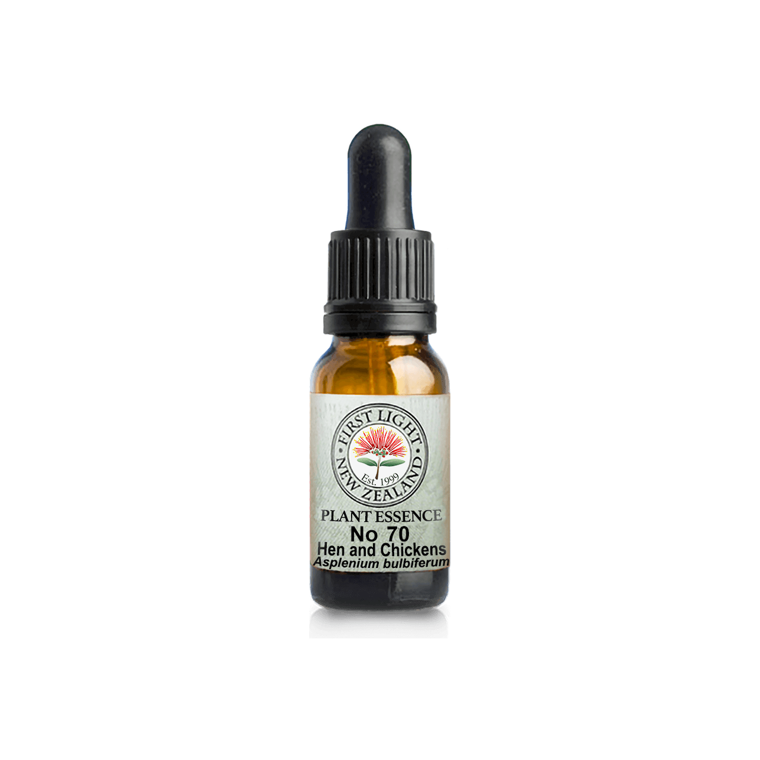 No. 70 - Hen and Chickens Fern (Strength) 10ml