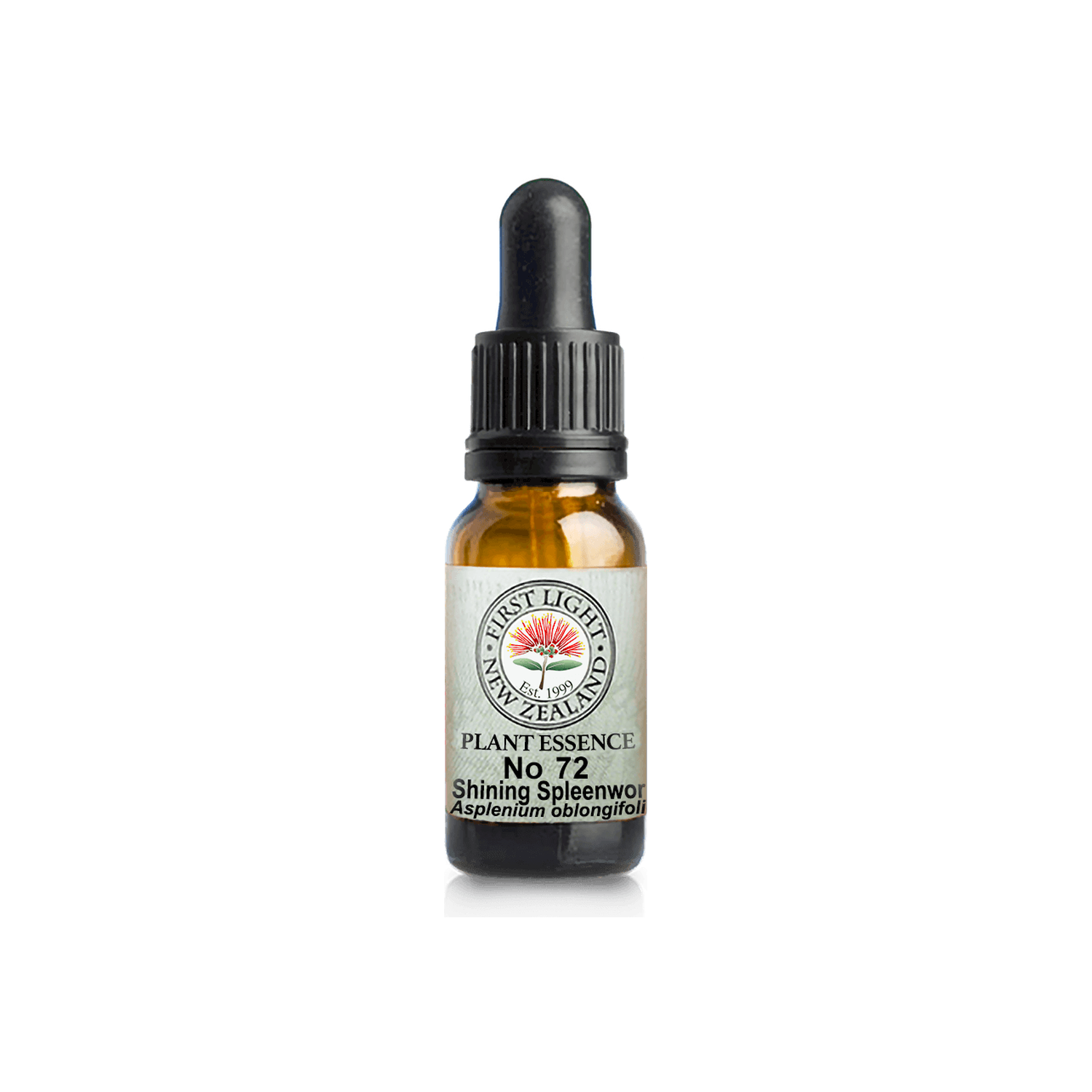 No. 72 - Shining Spleenwort (Synchronicity) 10ml