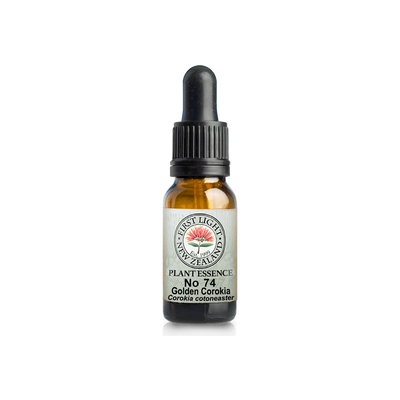 No. 74 - Golden Corokia (Grace) 10ml