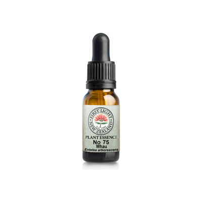 No. 75 - Whau (Release) 10ml