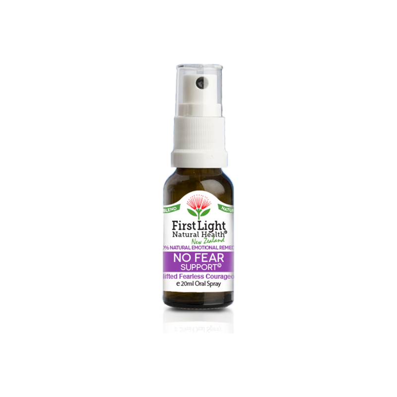 No Fear Support (Uplifted Fearless Courageous) 20ml