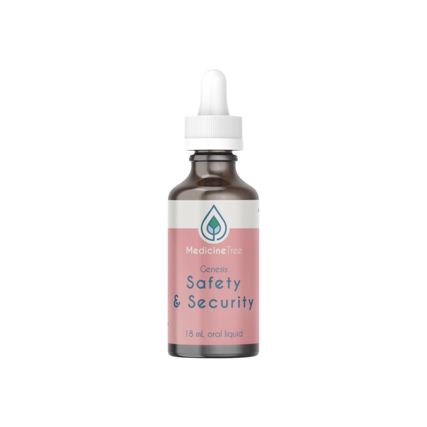 Genesis Safety and Security