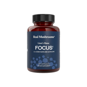 Lion's Mane Focus