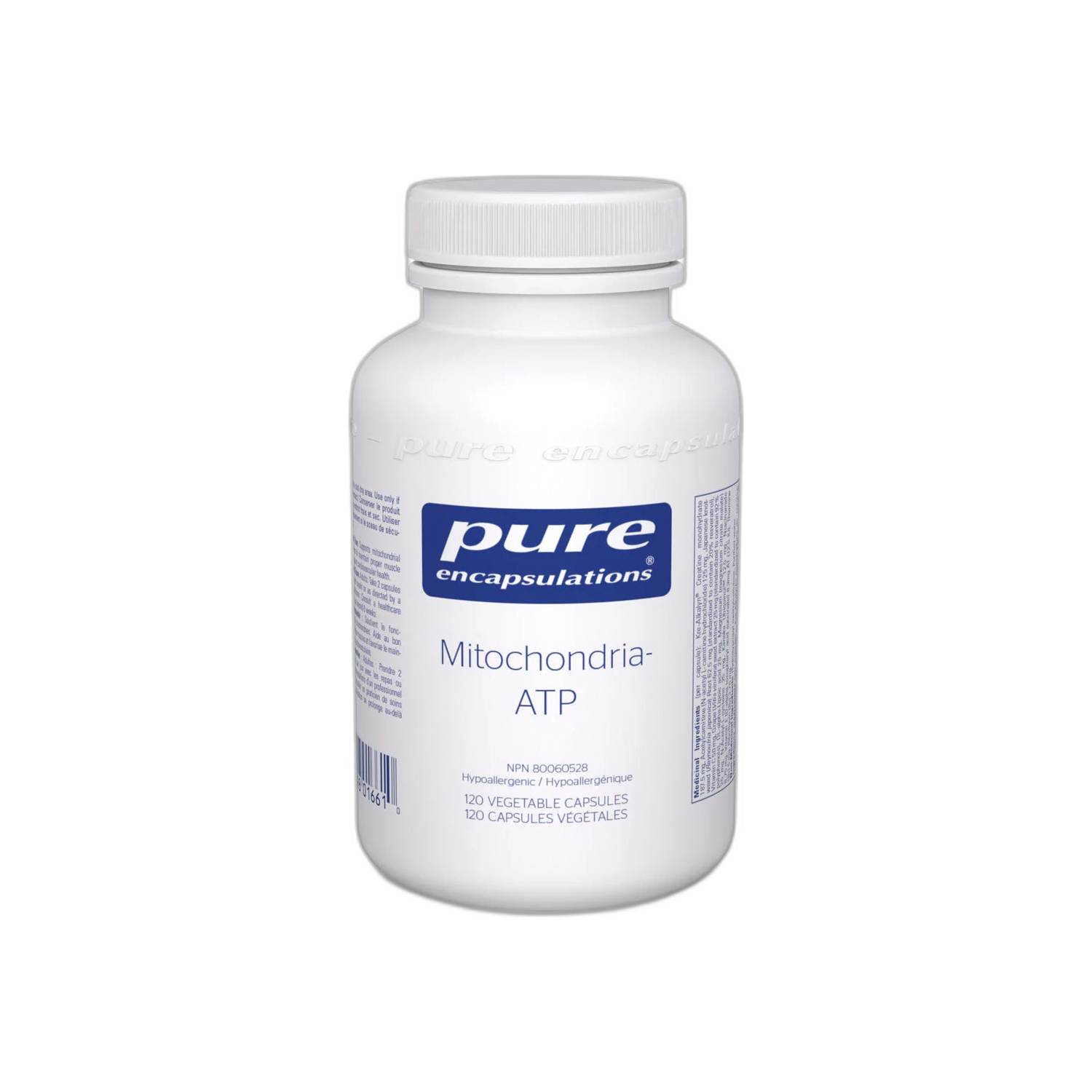 Mitochondria - ATP