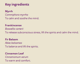 Supplement facts for Festive Spirit 10ml listing ingredients including Boswellia Serrata, Cinnamomum verum, Cinnamon, Commiphora myrrha, Indian Frankincense Extract