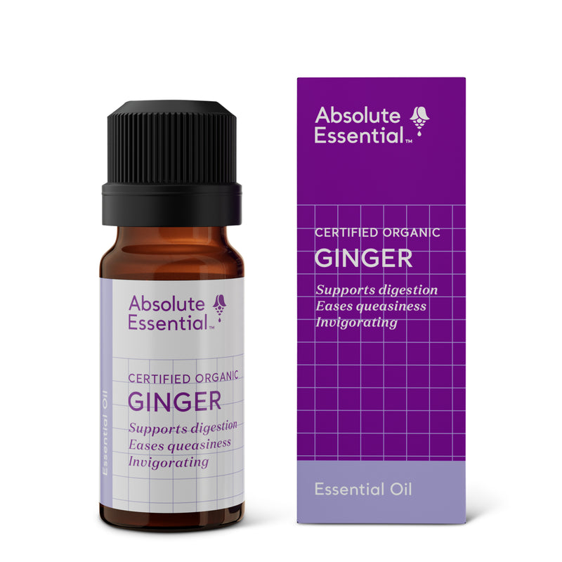A supplement container of Ginger 10ml by Absolute Essential