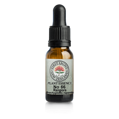 A supplement container of No. 66 - Rangiora (Masculine Power) 10ml by First Light Flower Essences