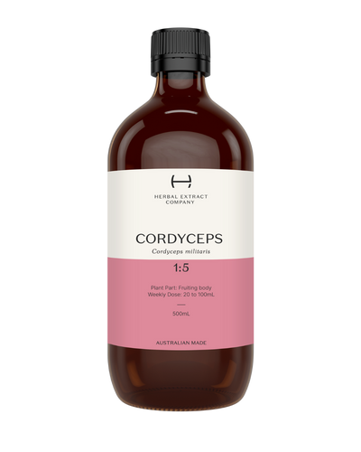 A supplement container of Cordyceps 1:5 by Herbal Extract Company