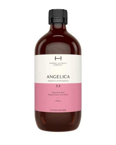 A supplement container of Angelica 1:1 by Herbal Extract Company