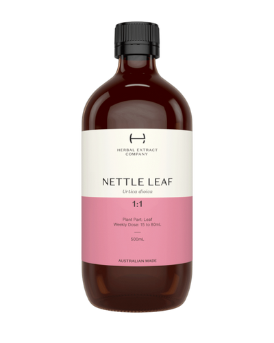 A supplement container of Nettle Leaf 1:1 by Herbal Extract Company