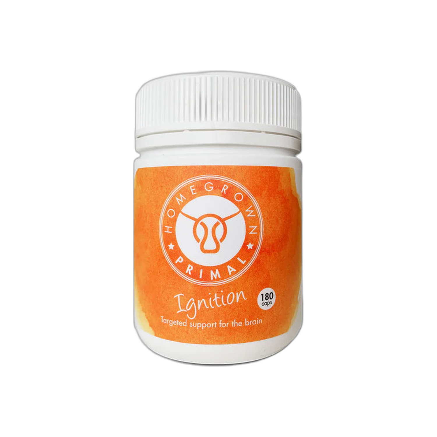 IGNITION | Brain