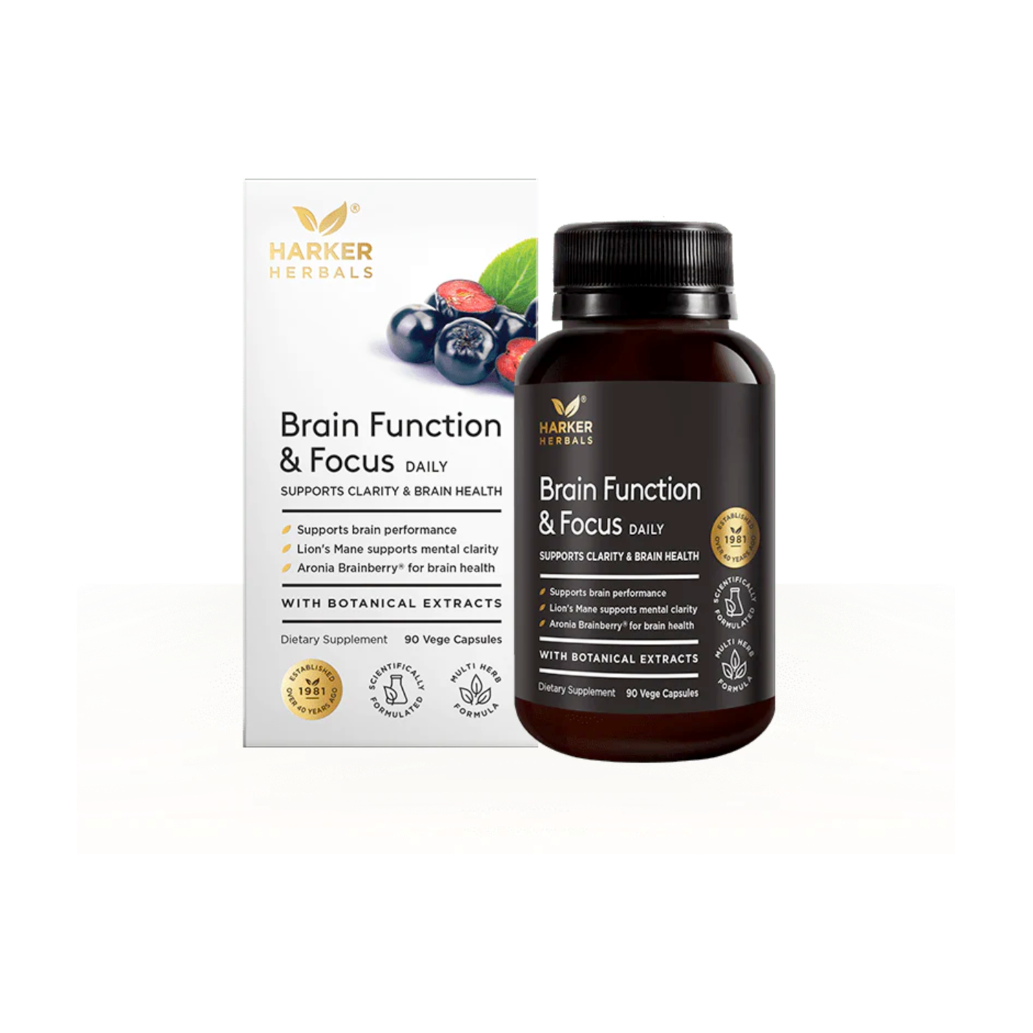 Brain Function & Focus Daily