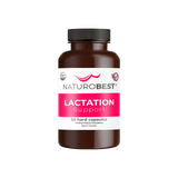 Lactation Support