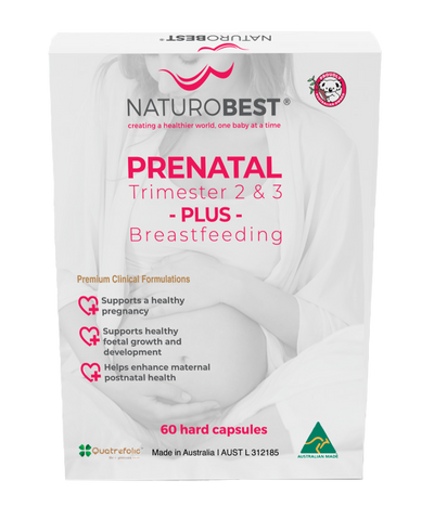 Prenatal Trimester 2 & 3 Plus Breastfeeding