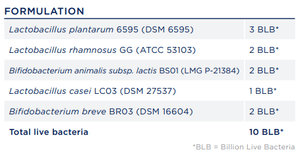 Text describing the ingredients which are Lactobacillus plantarum 6595 DSM 6595, Lactobacillus rhamnosus GG ATCC 53103, Bifidobacterium animals subsp. lactis BS01 (LMG P-21384, Lactobacillus casei LC03 DSM 27537, Bifidobacterium breve BRO3 DSM 16604